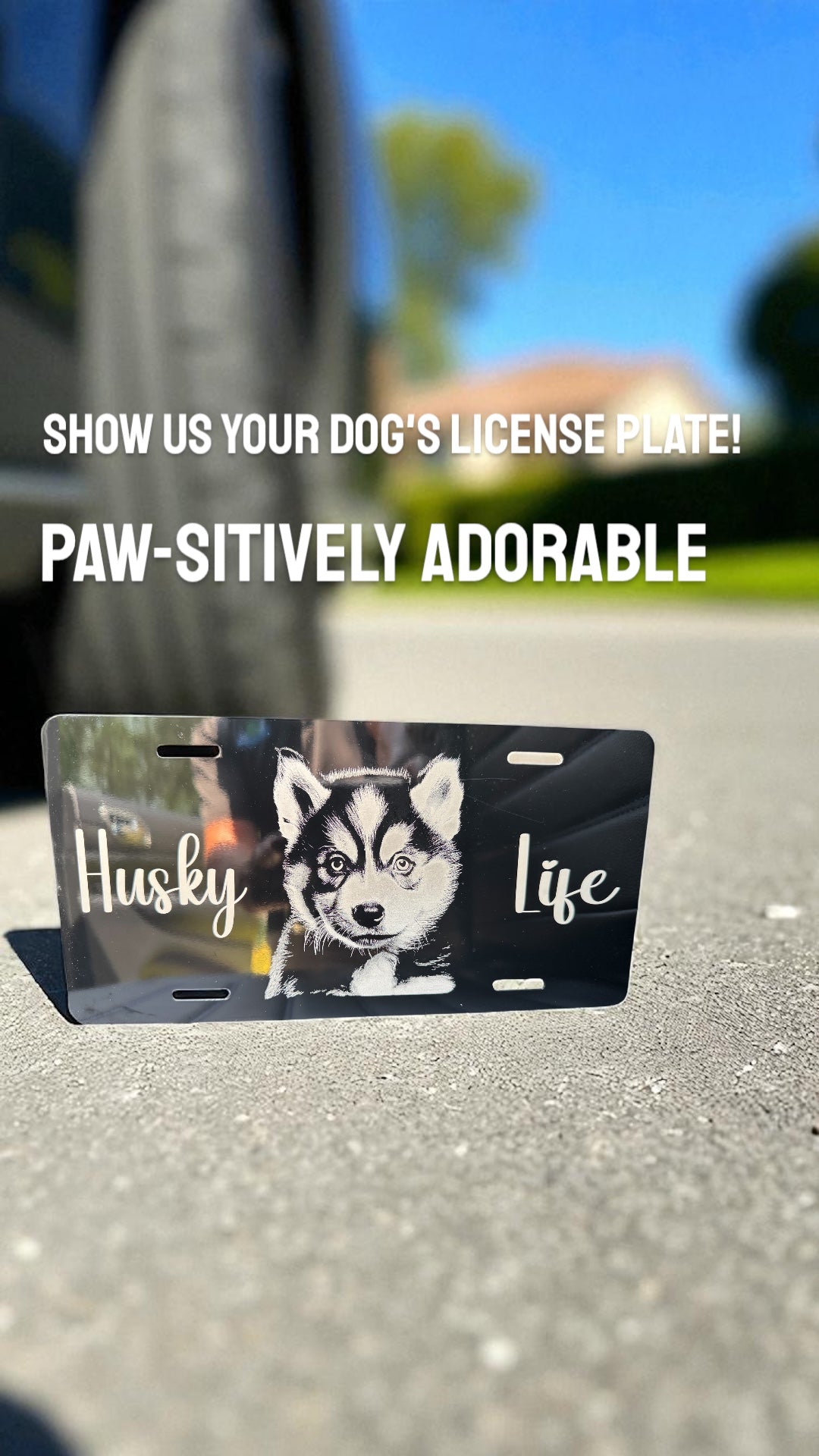Personalized Front License Plates